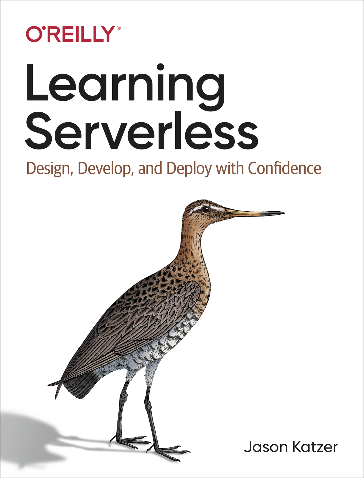 Learning Serverless Jason Katzer