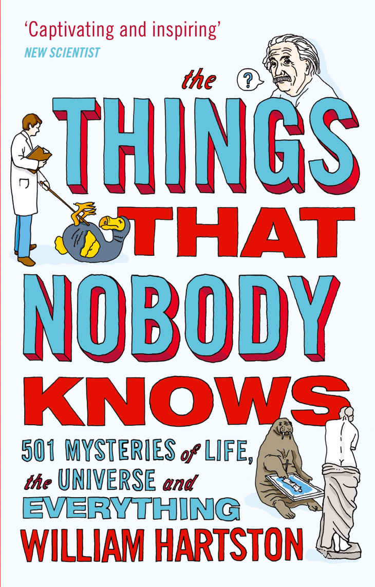 The Things That Nobody Knows 501 Mysteries Of Life The Universe And Everything William Hartston