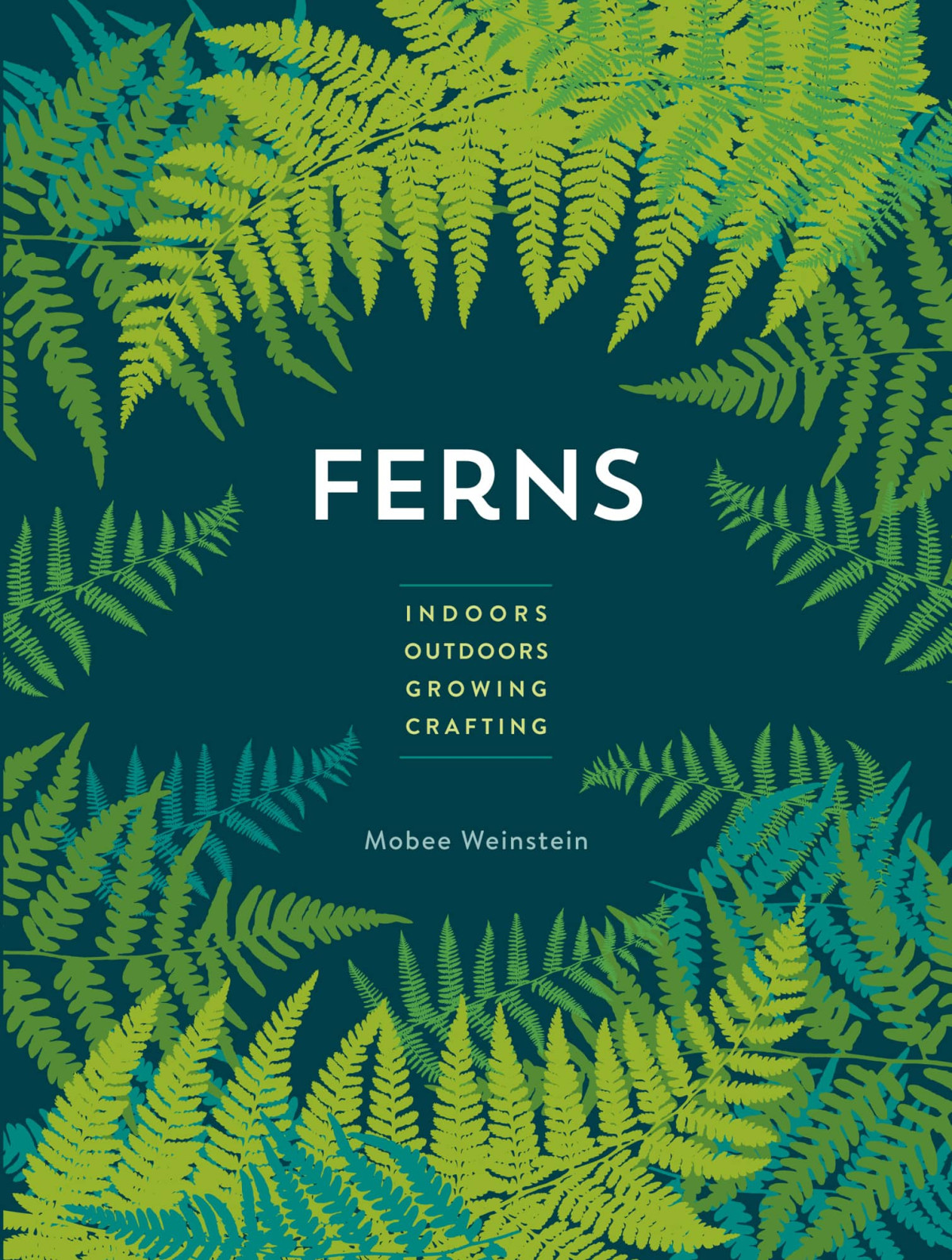 Ferns Mini Weinstein Mobee