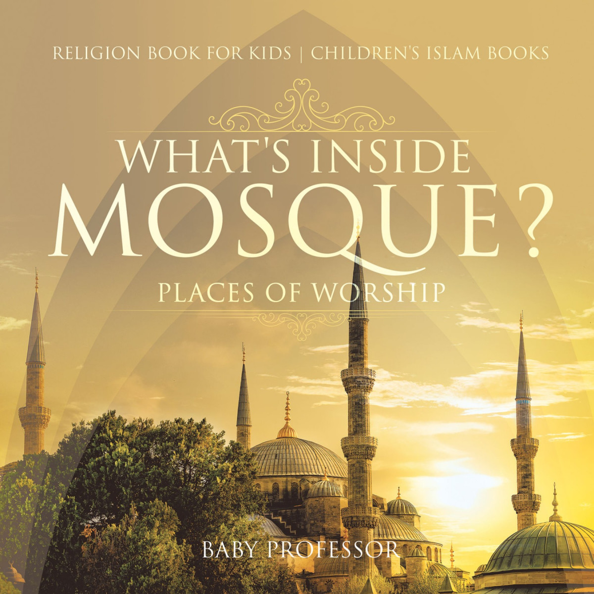 Whats Inside A Mosque Places Of Worship Religion Book For Kids Childrens Islam Books Baby Professor