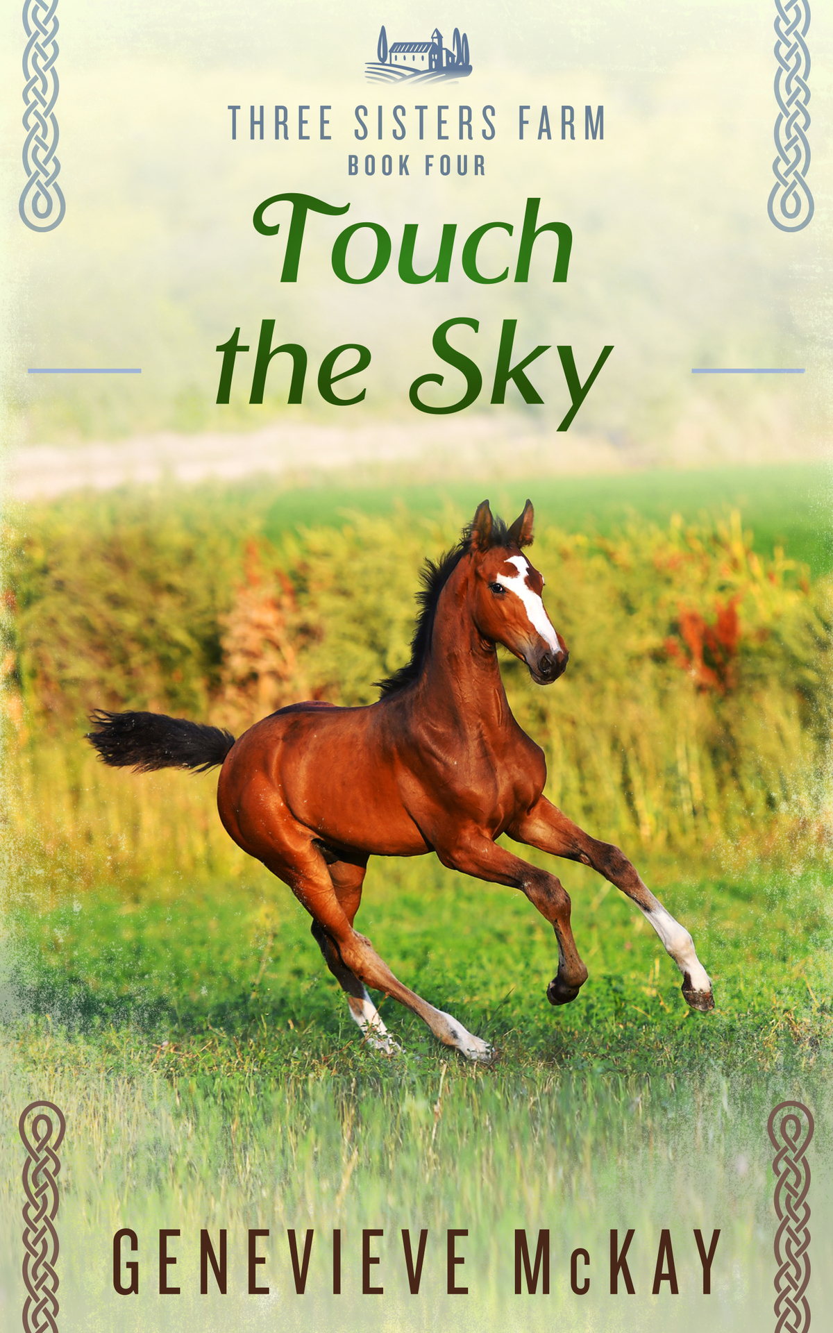 Touch The Sky Three Sisters Farm Book 4 Genevieve Mckay