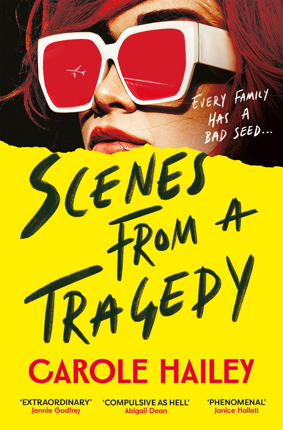 Scenes From A Tragedy Carole Hailey