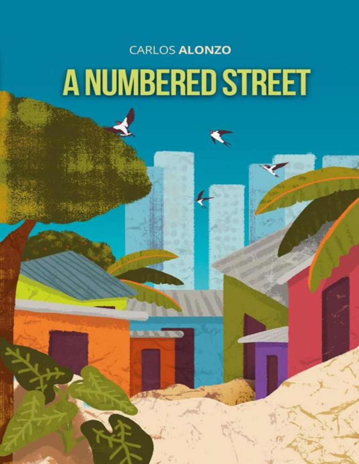 A Numbered Street Carlos Alonzo