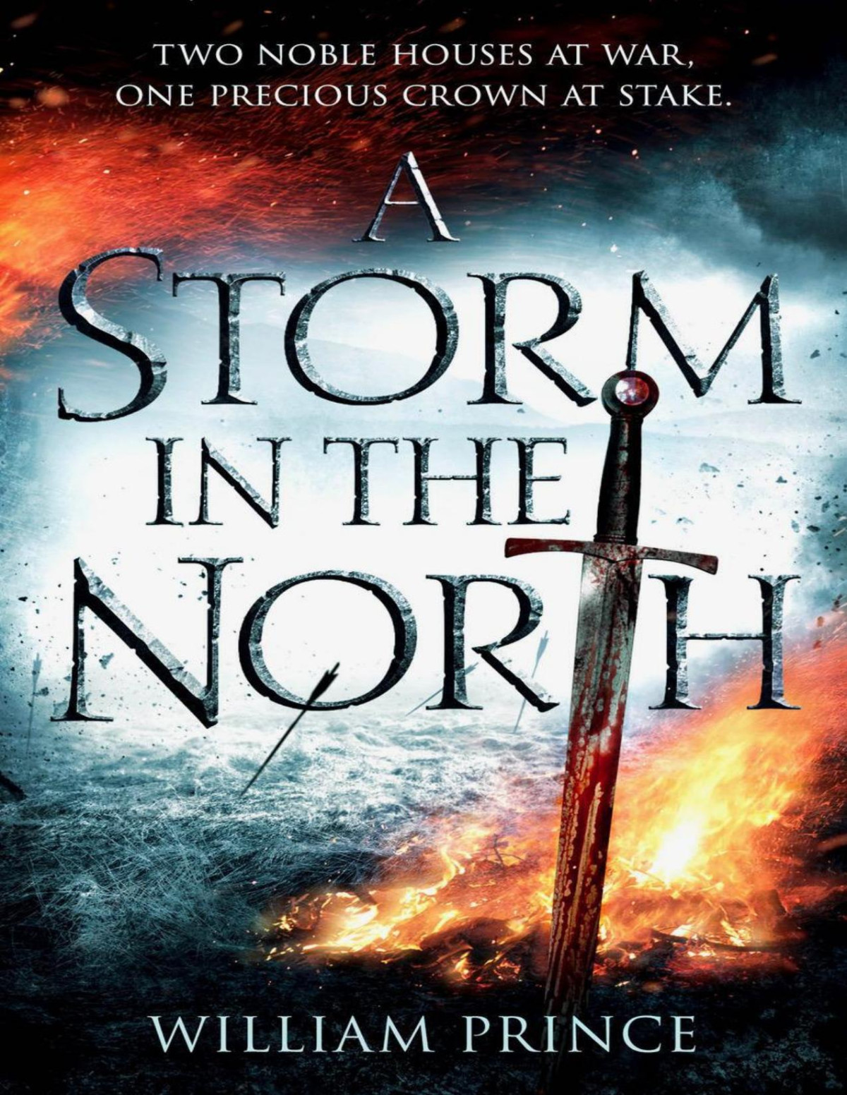 A Storm In The North Prince William