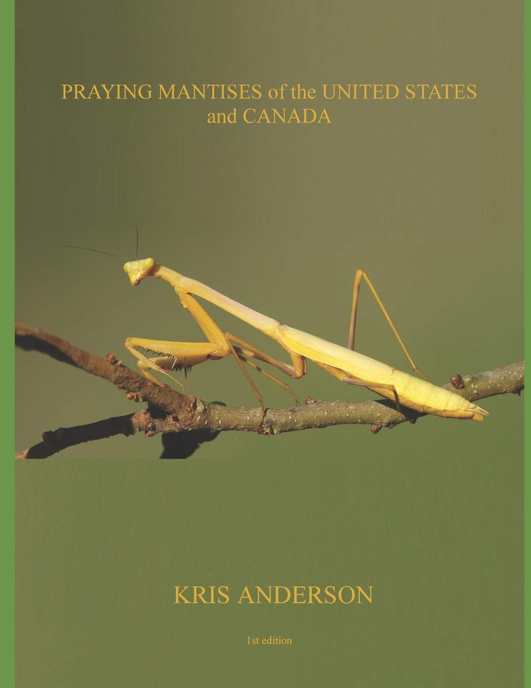 Praying Mantises Of The United States And Canada Kris Anderson