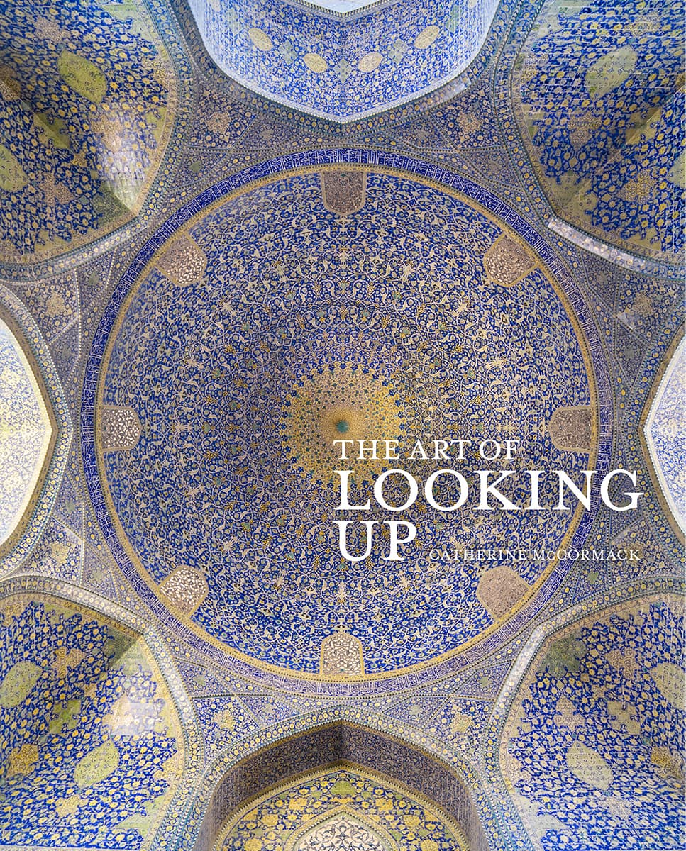 The Art Of Looking Up Catherine Mccormack