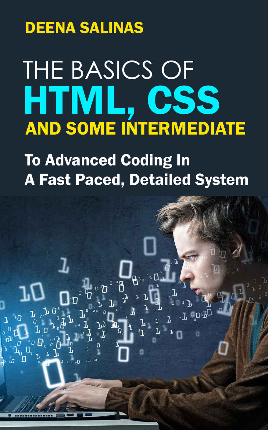 The Basics Of Html Css And Some Intermediate To Advanced Coding In A Fast Paced Detailed System Salinas