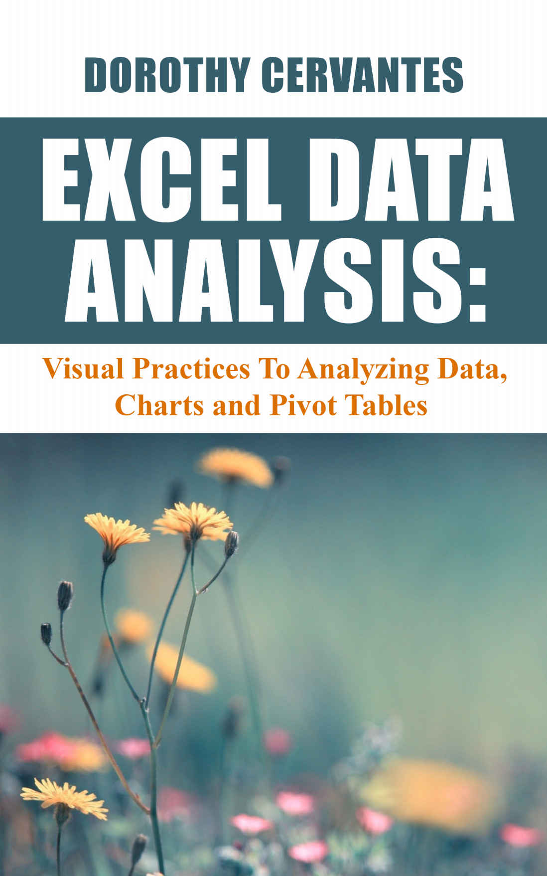 Excel Data Analysis Visual Practices To Analyzing Data Charts And Pivot Tables Cervantes