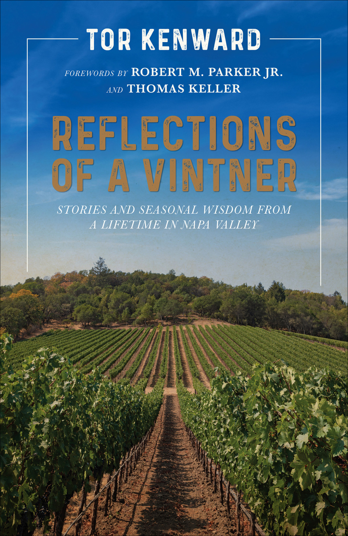 Reflections Of A Vintner Tor Kenward