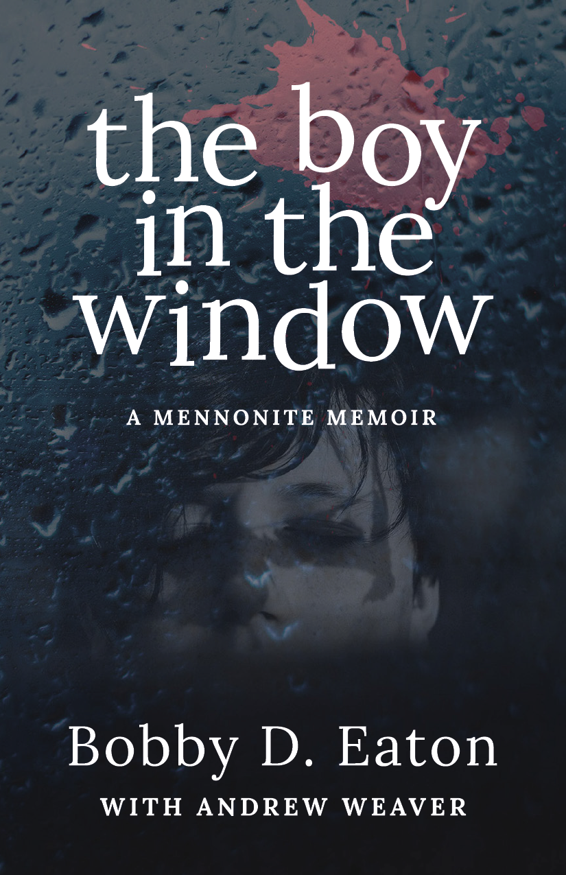 The Boy In The Window Bobby D Eaton