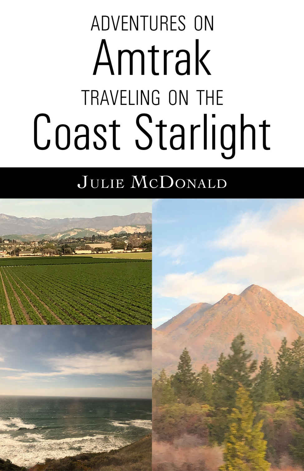 Adventures On Amtrak Traveling On The Coast Starlight Los Angeles California To Seattle Washington Julie Mcdonald