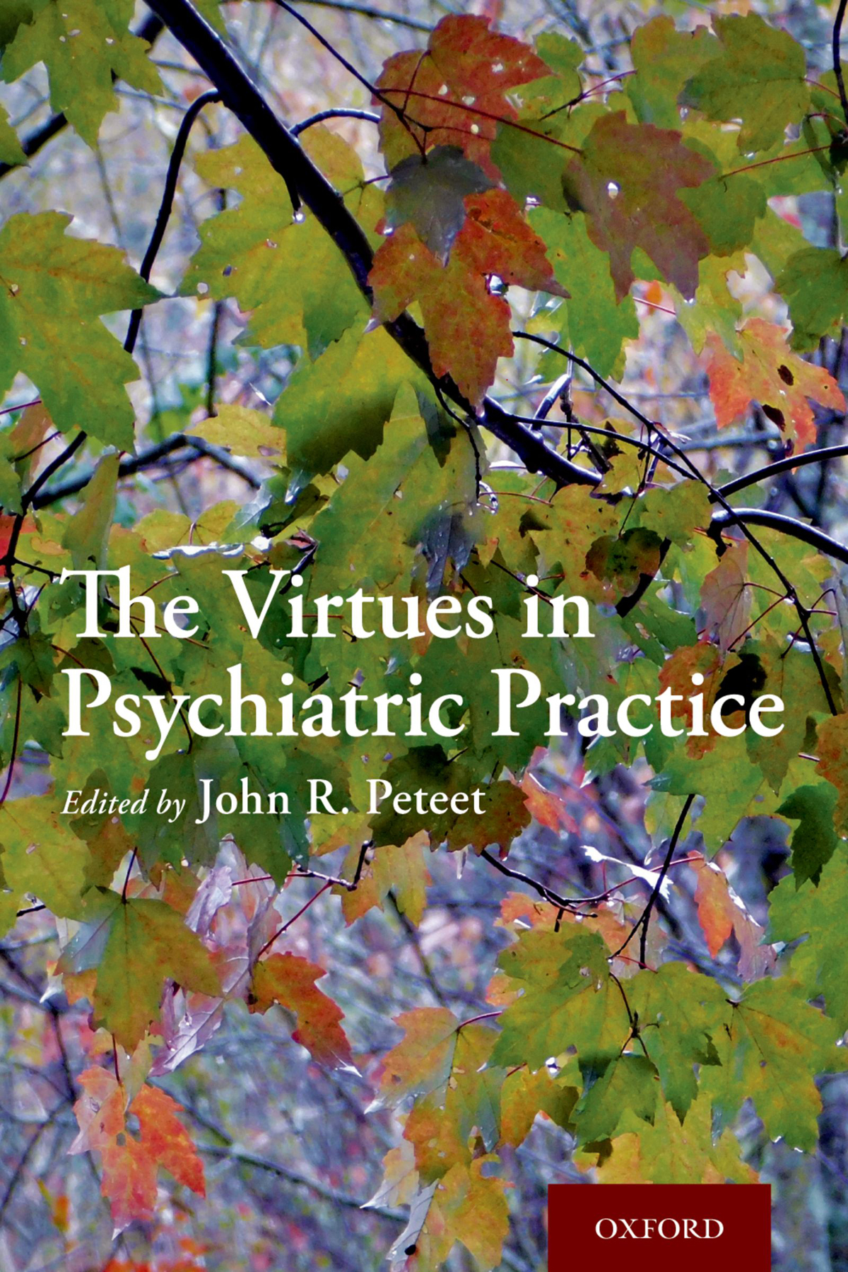 The Virtues In Psychiatric Practice Peteet John R