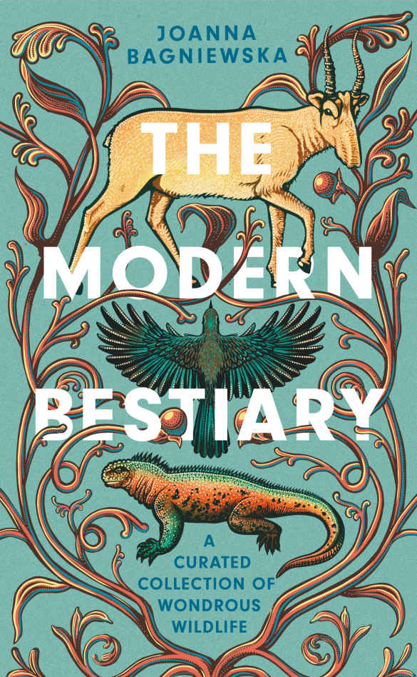 The Modern Bestiary Joanna Bagniewska
