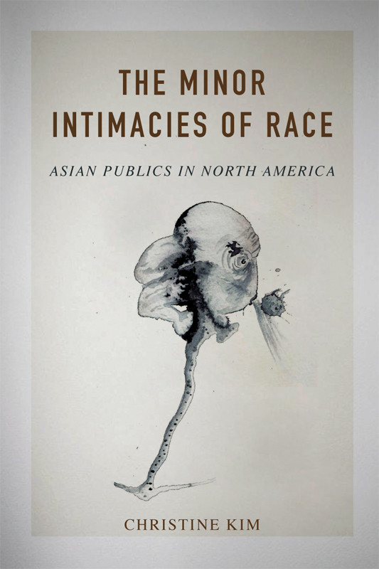 The Minor Intimacies Of Race Christine Kim
