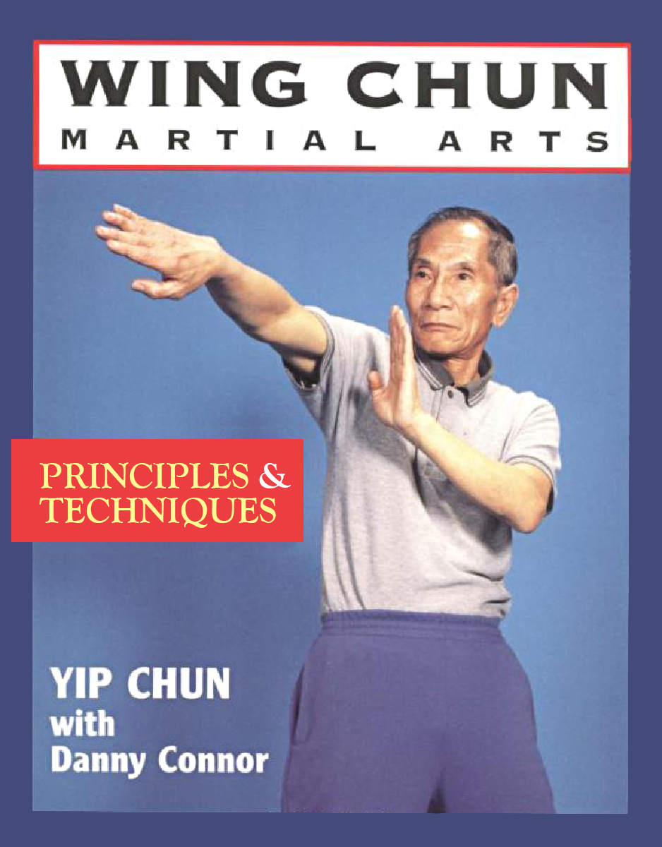 Wing Chun Martial Arts Principles Techniques Chun Yip Connor