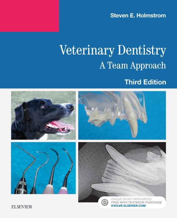 Veterinary Dentistry A Team Approach Ebook Steven E Holmstrom