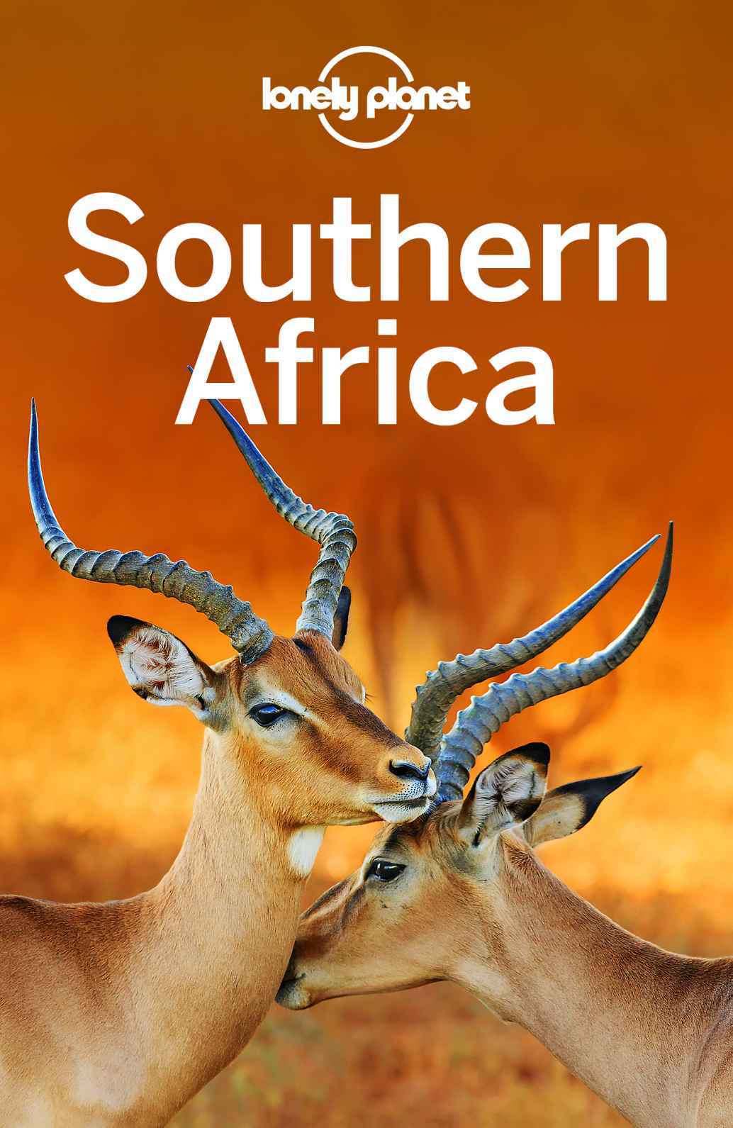Lonely Planet Southern Africa Travel Guide Lonely Planet Anthony Ham James Bainbridge Lucy Corne Mary Fitzpatrick Trent Holden Brendan Sainsbury