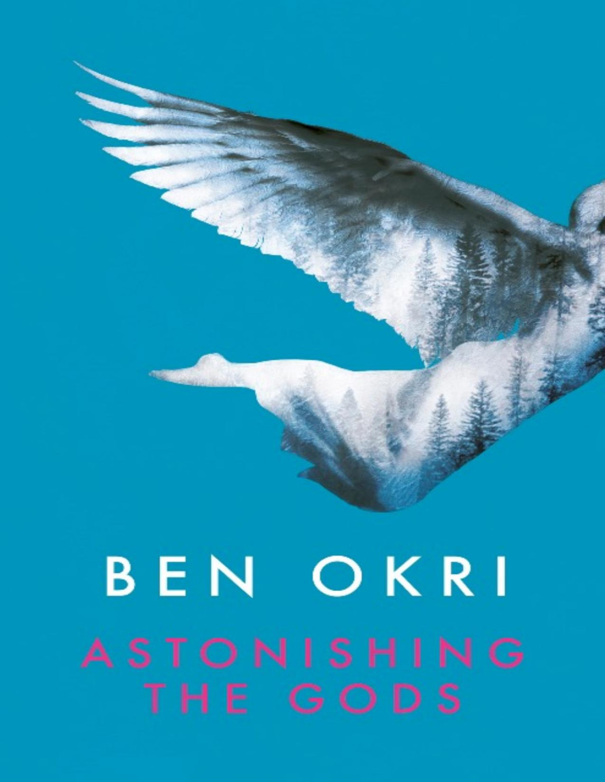 Astonishing The Gods Ben Okri