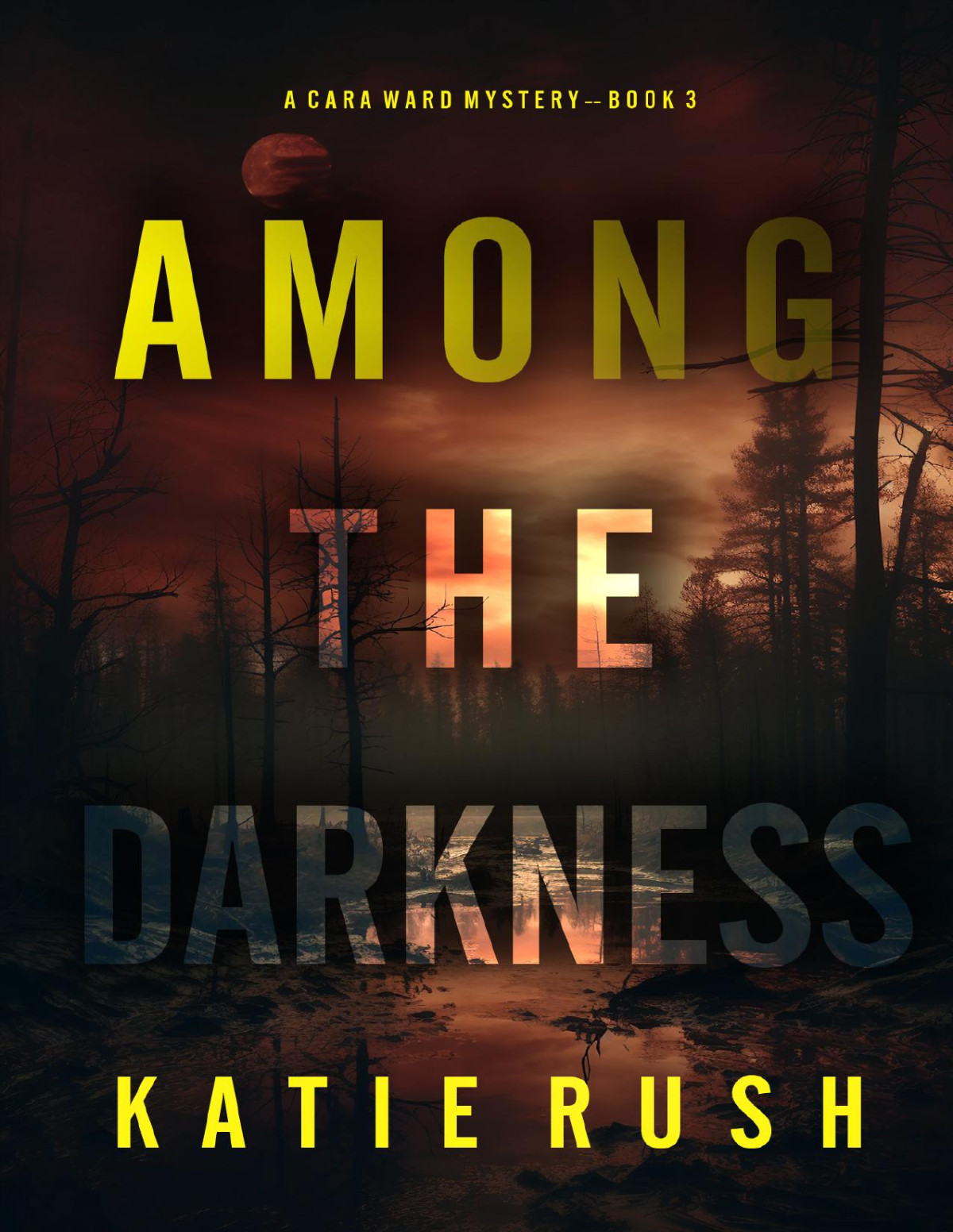 Among The Darkness Katie Rush