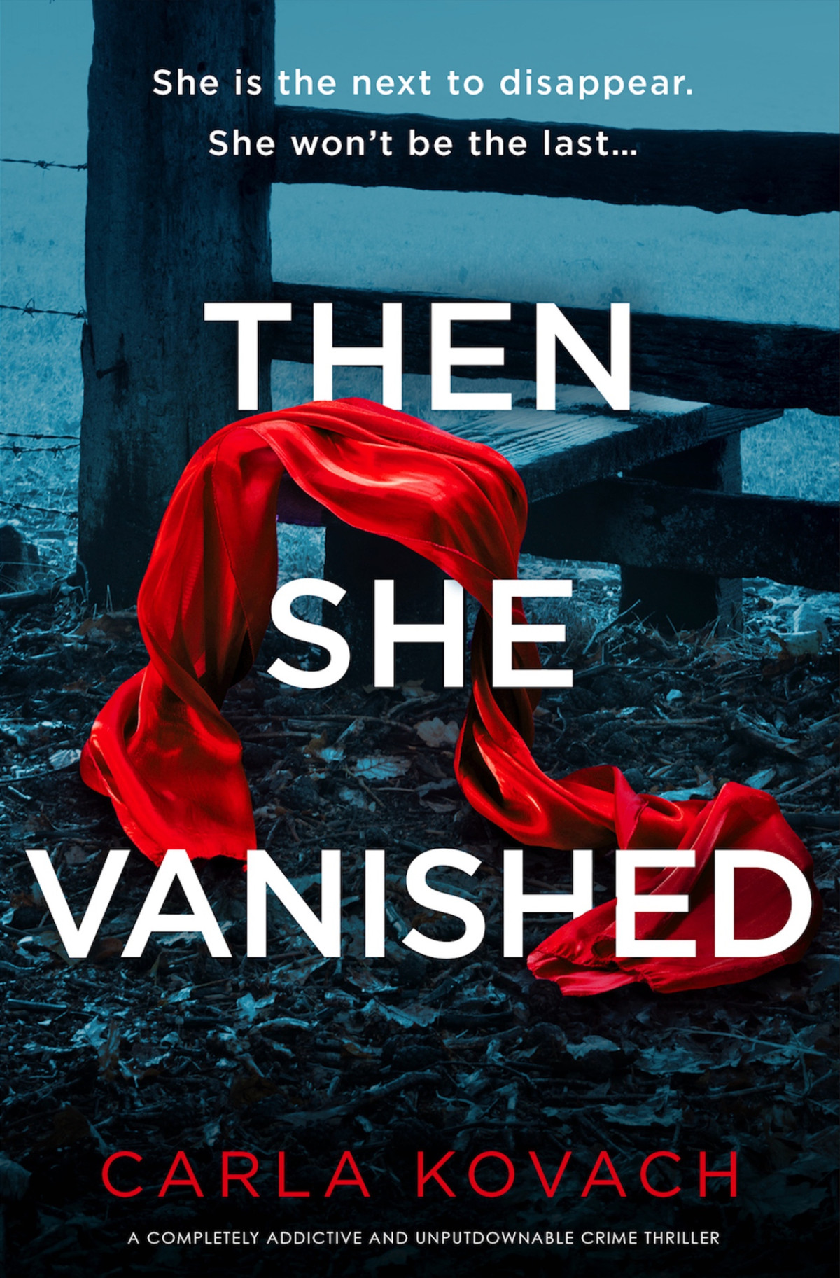 Then She Vanished A Completely Addictive And Unputdownable Crime Thriller Carla Kovach