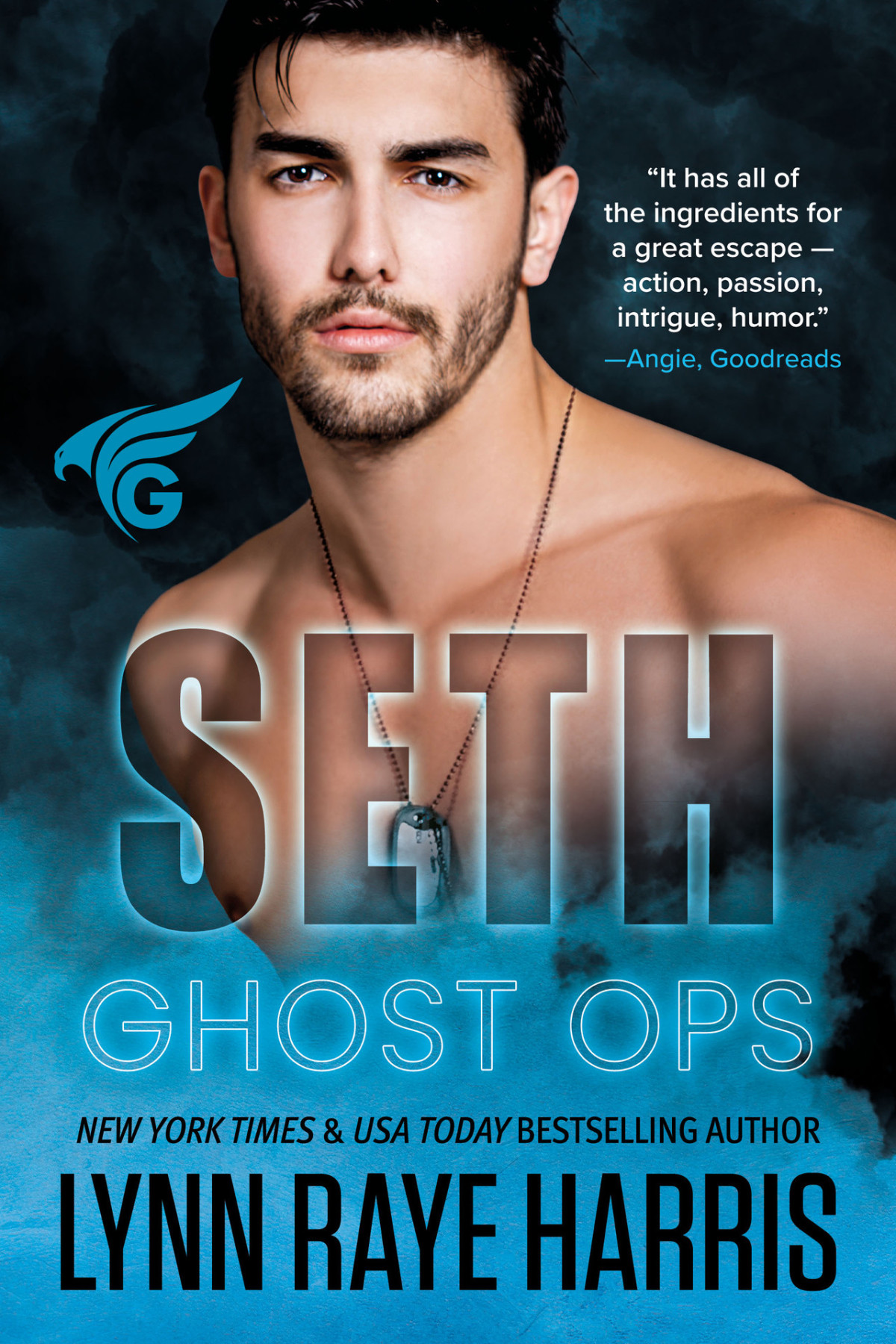 Seth A Small Town Enemies To Lovers Military Protector Romance Ghost Ops Book 3 Lynn Raye Harris