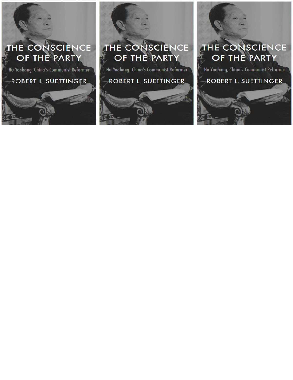 The Conscience Of The Party Hu Yaobang Chinas Communist Reformer Robert L Suettinger