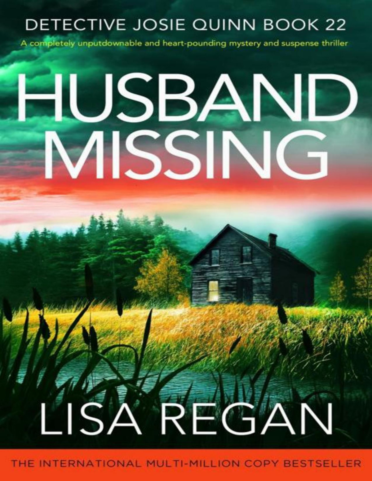 Husband Missing A Completely Unputdownable And Heartpounding Mystery And Suspense Thriller Detective Josie Quinn Book 22 Lisa Regan