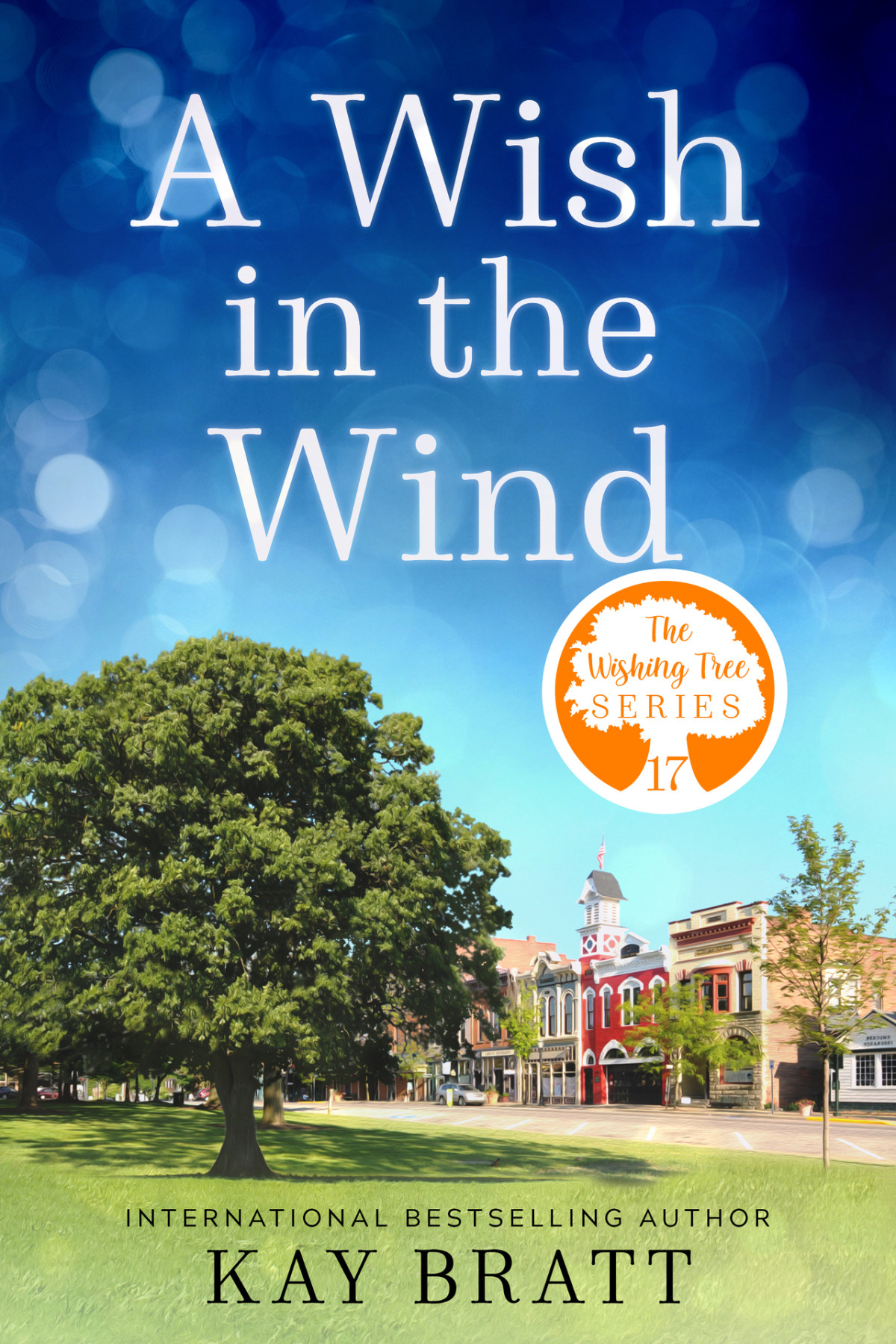 A Wish In The Wind The Wishing Tree Series Book 17 Kay Bratt