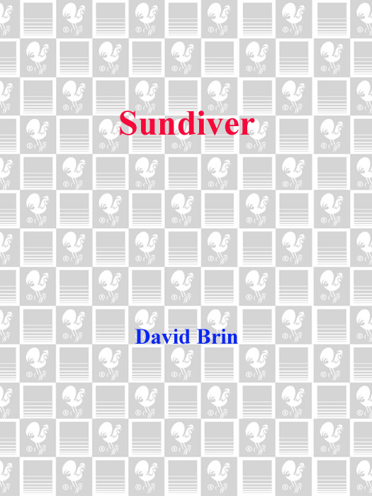 Sundiver David Brin