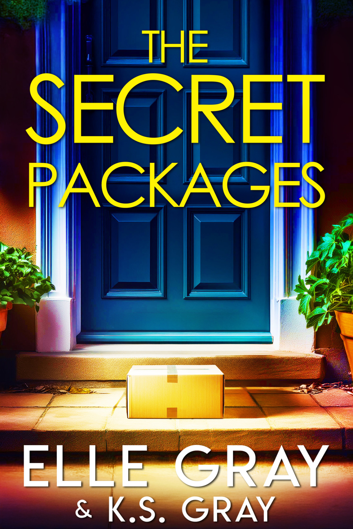 The Secret Packages A Serenity Springs Mystery Series Book 5 Elle Gray Ks Gray