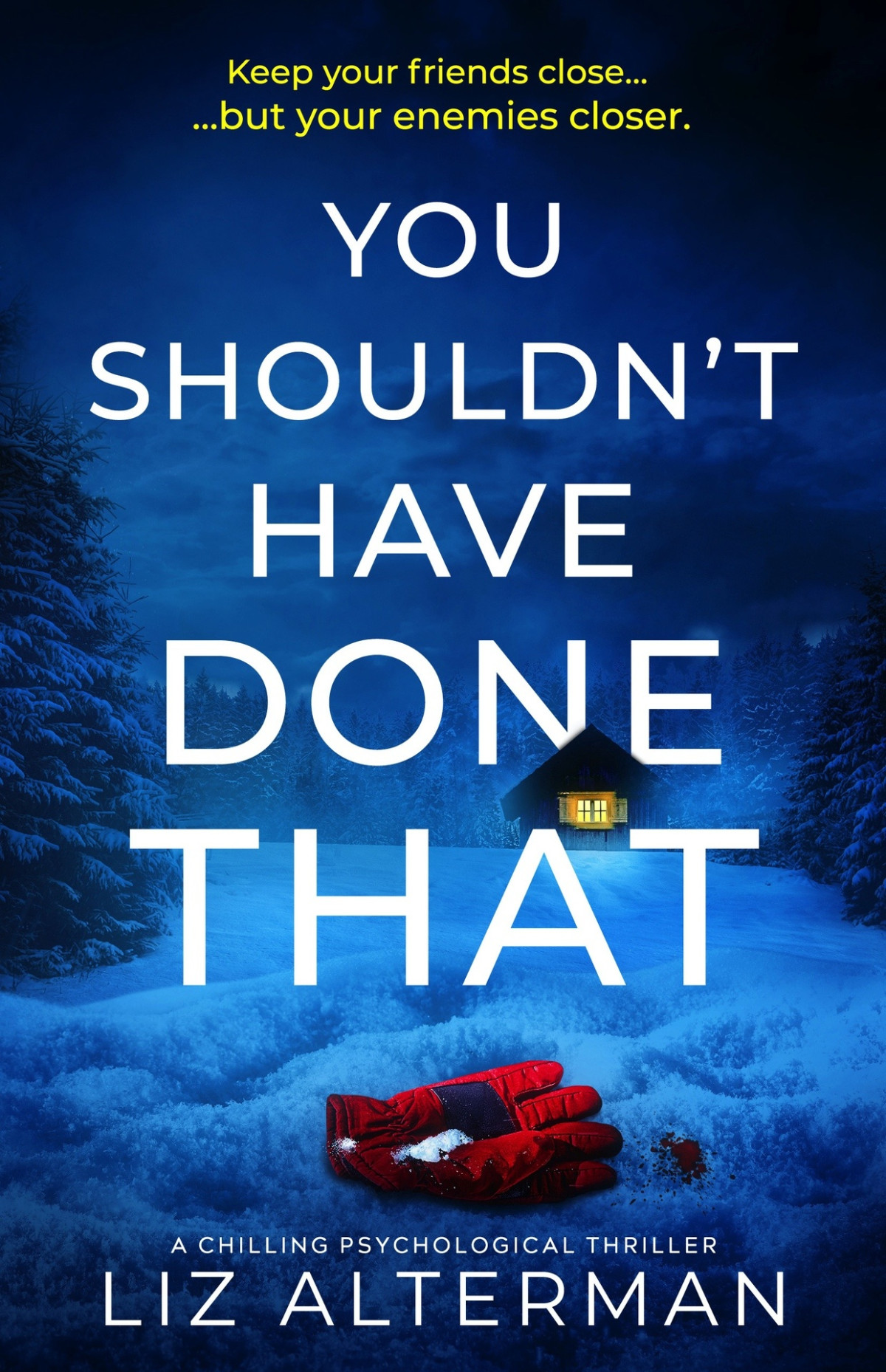 You Shouldnt Have Done That A Chilling Psychological Thriller Liz Alterman