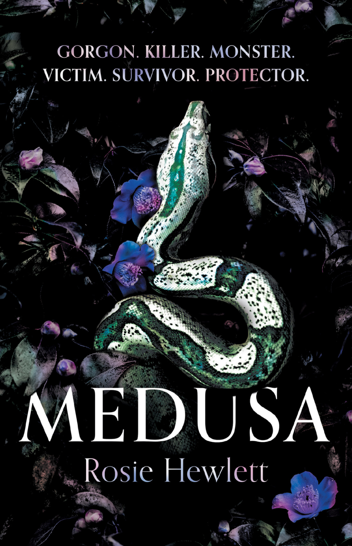 Medusa The Feminist Debut That Boldly Reclaims Her Monstrous Myth Rosie Hewlett