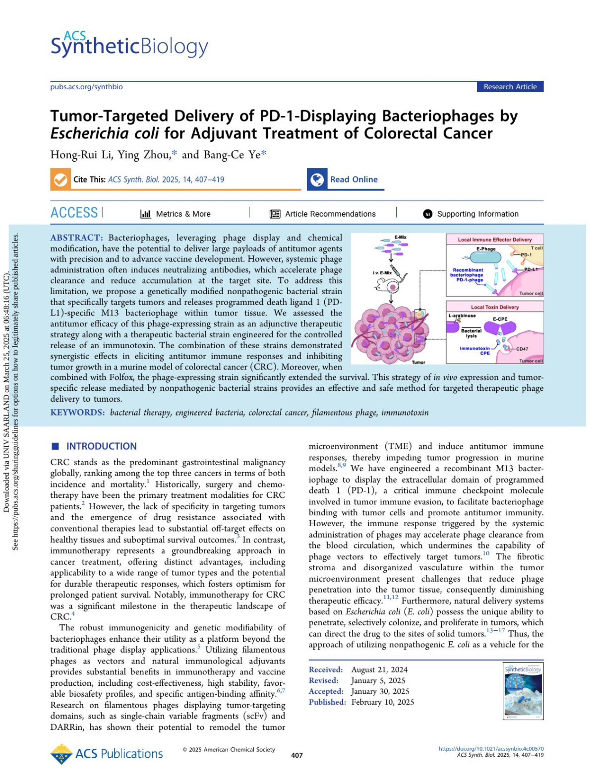 Tumortargeted Delivery Of Pd1displaying Bacteriophages By Escherichia Coli For Adjuvant Treatment Of Colorectal Cancer Hongrui Li