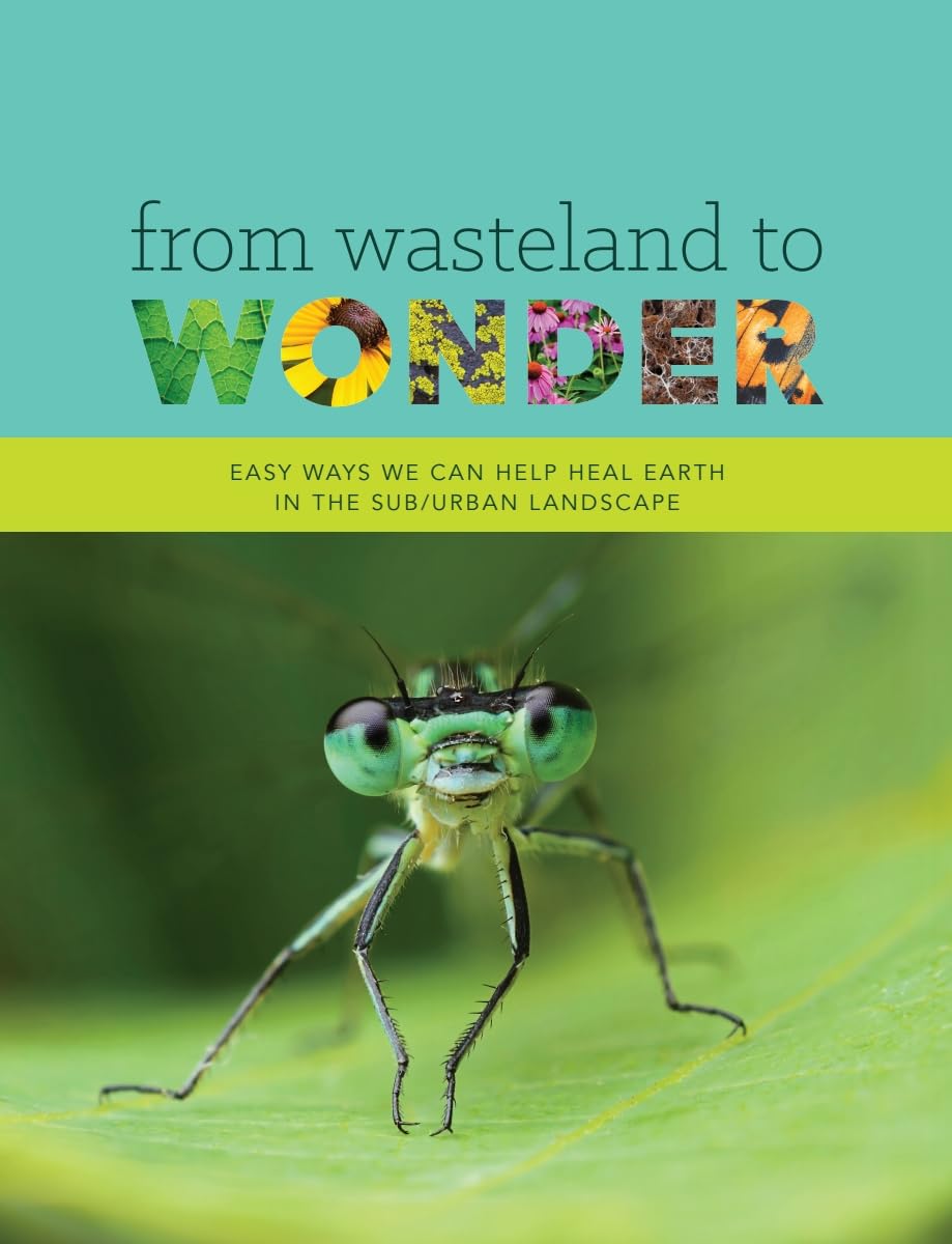 From Wasteland To Wonder Easy Ways We Can Help Heal Earth In The Sub Urban Landscape 1st Edition Basil Camu