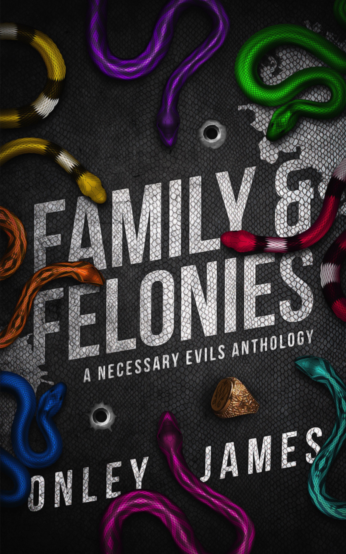 Family Felonies A Necessary Evils Anthology Onley James
