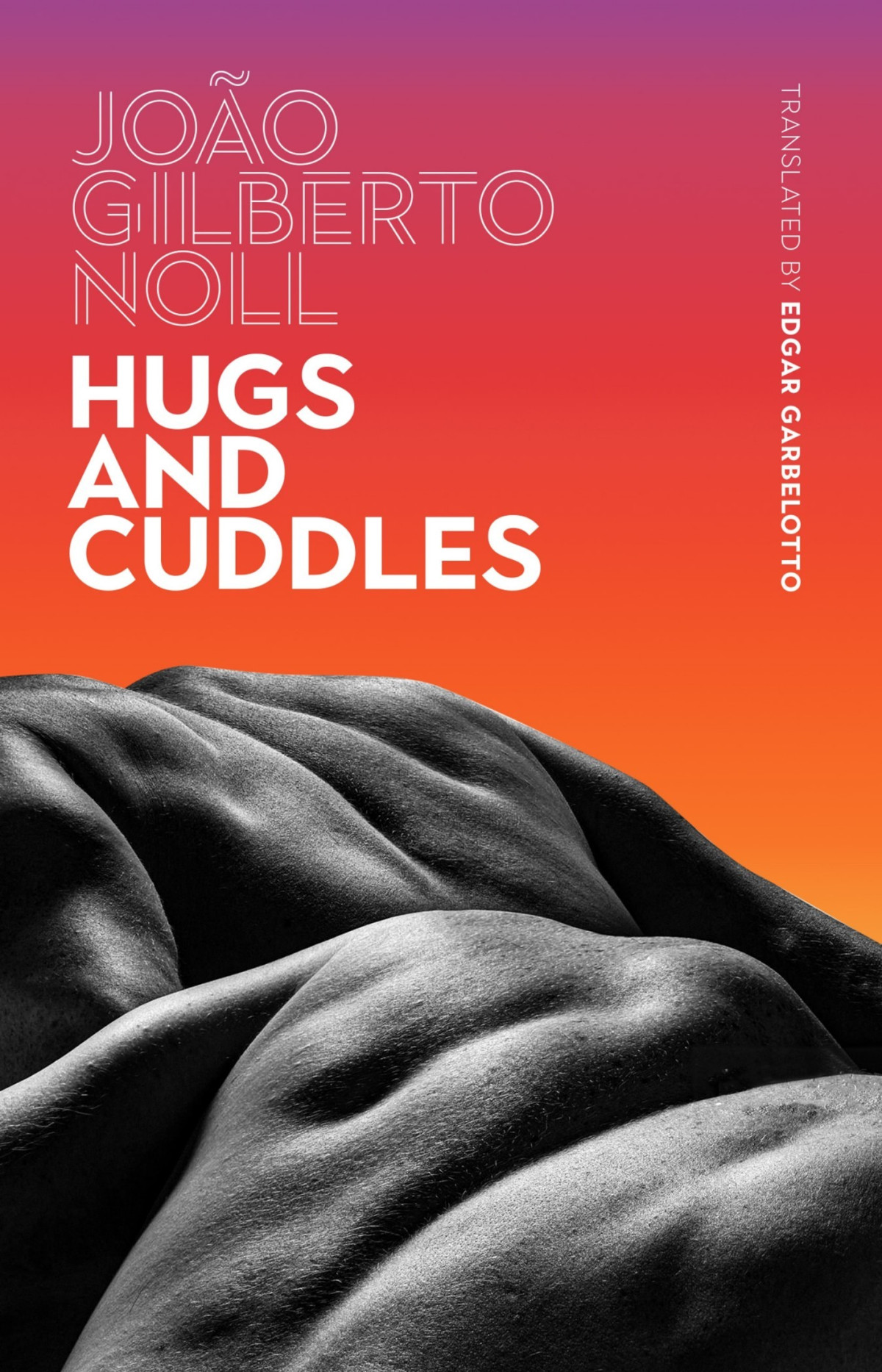 Hugs And Cuddles Joao Gilberto Noll
