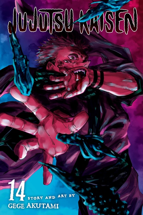 Jujutsu Kaisen Vol 14 The Shibuya Incidentright And Wrong Gege Akutami