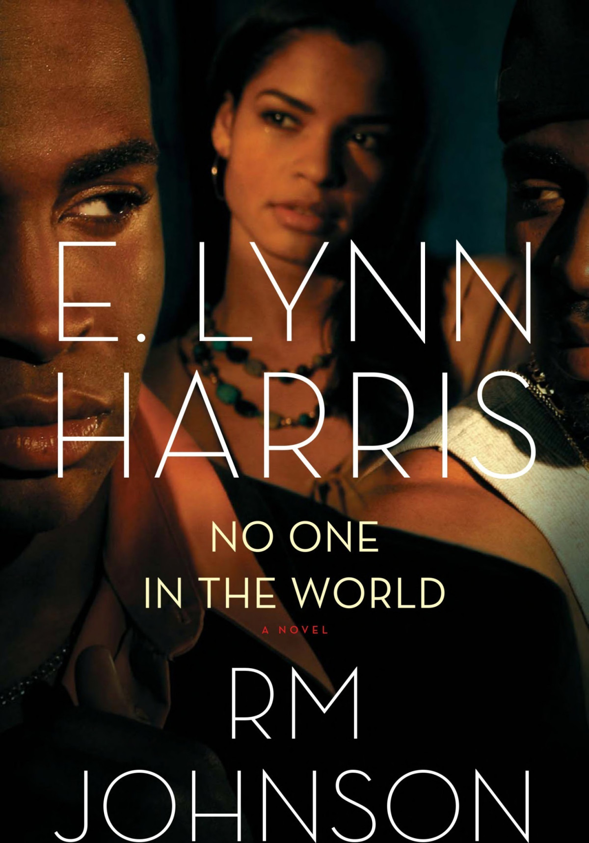 No One In The World E Lynn Harris Rm Johnson
