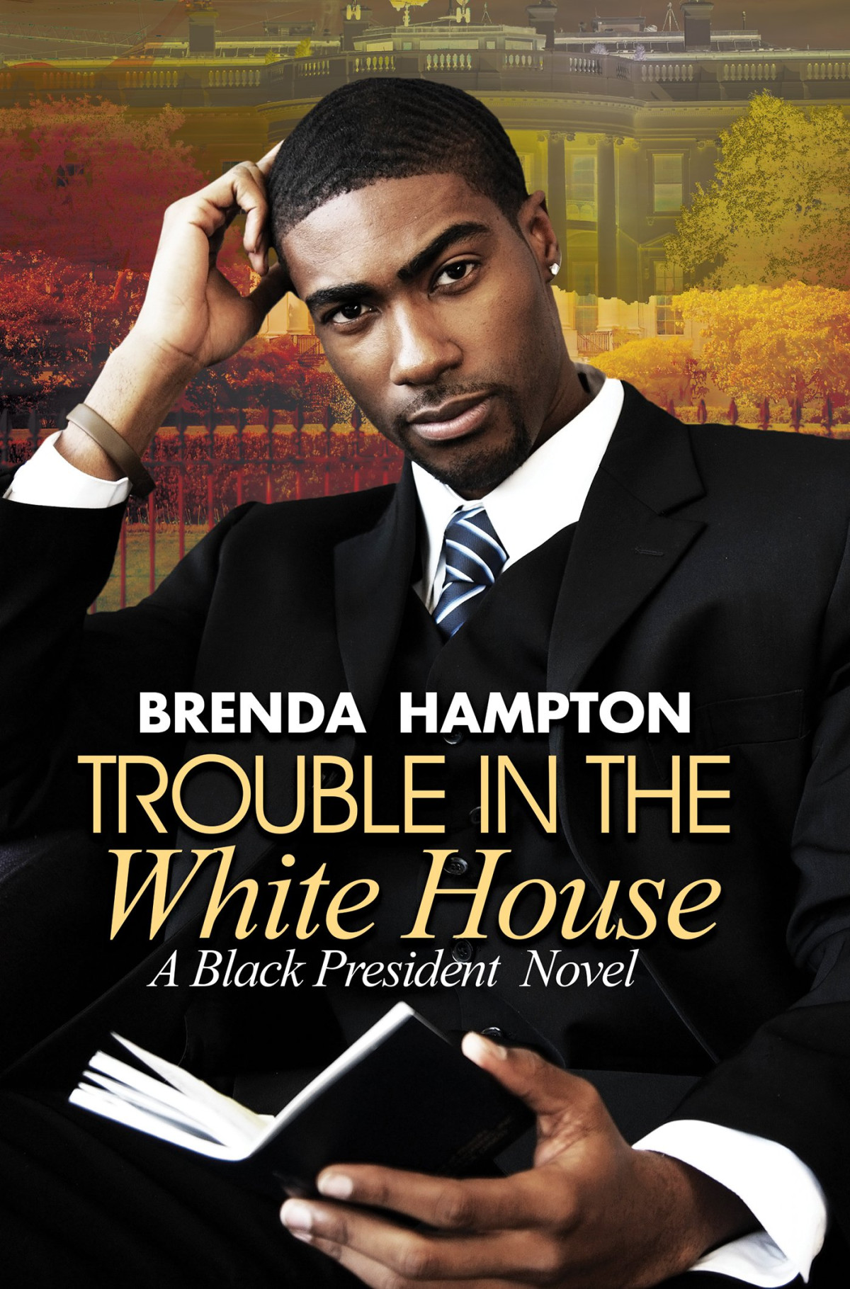 Trouble In The White House A Black President Novel Brenda Hampton