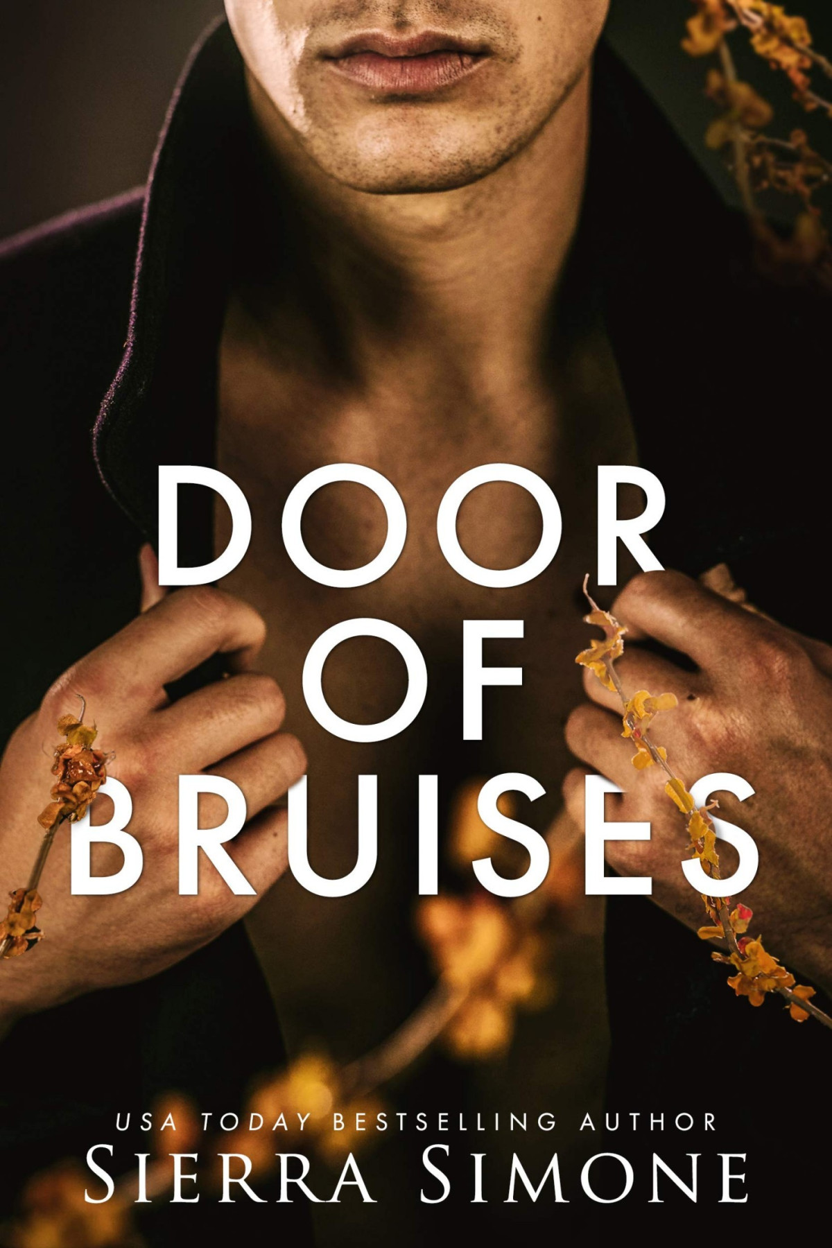 Door Of Bruises Sierra Simone