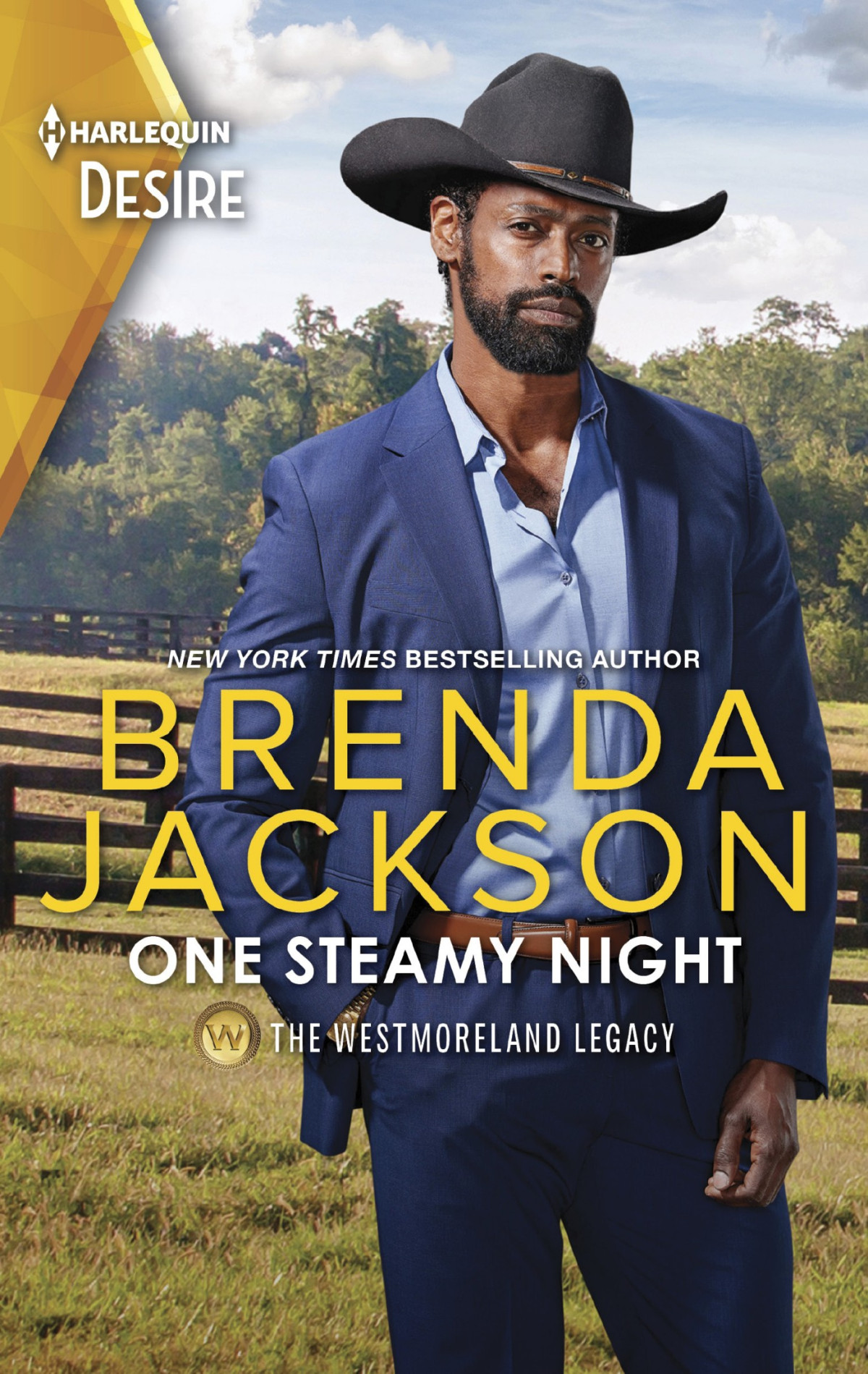 One Steamy Night Brenda Jackson