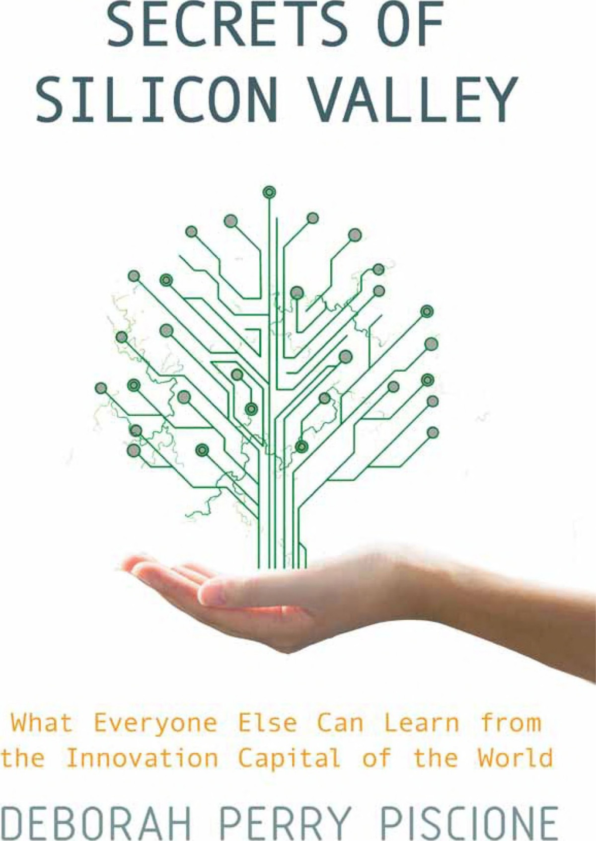 Secrets Of Silicon Valley What Everyone Else Can Learn From The Innovation Capital Of The World Deborah Perry Piscione