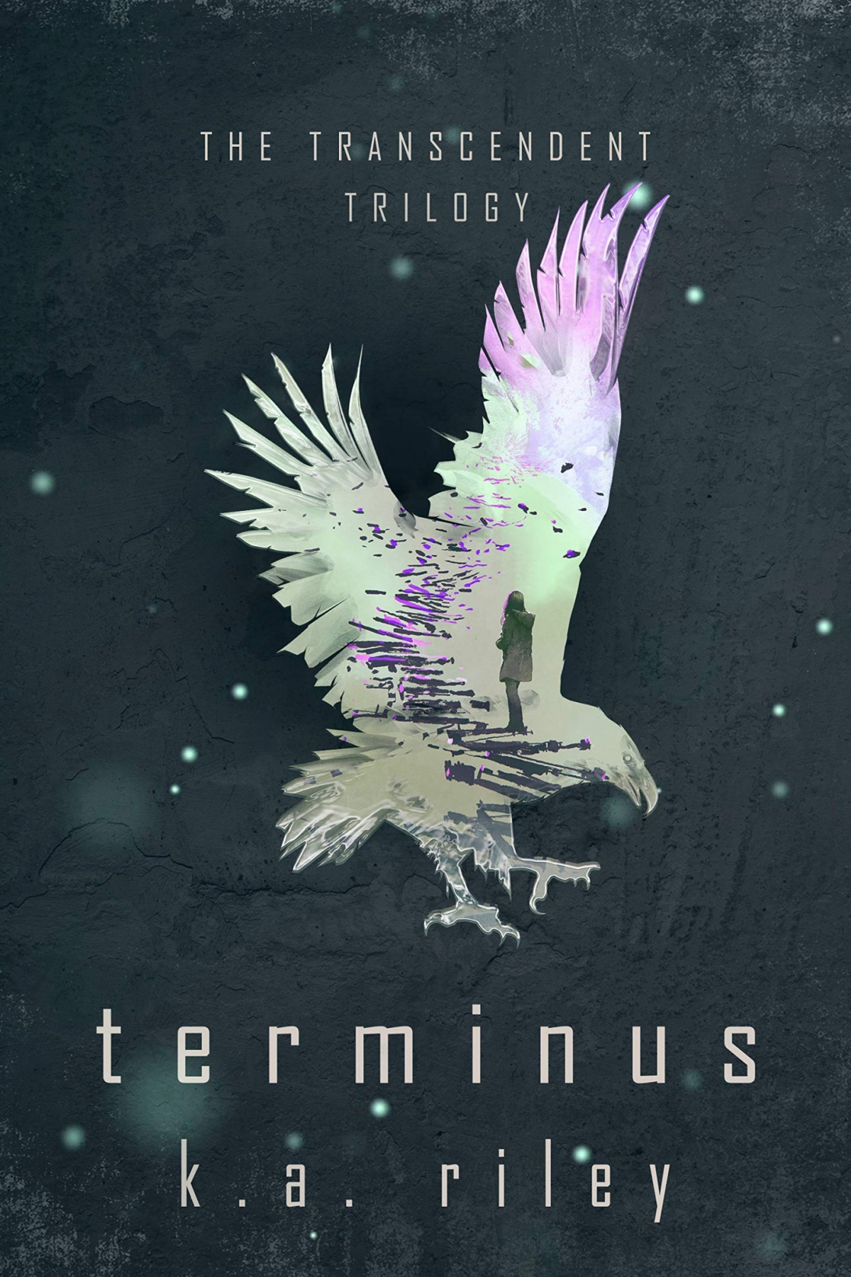Transcendent Trilogy 3 Terminus K A Riley