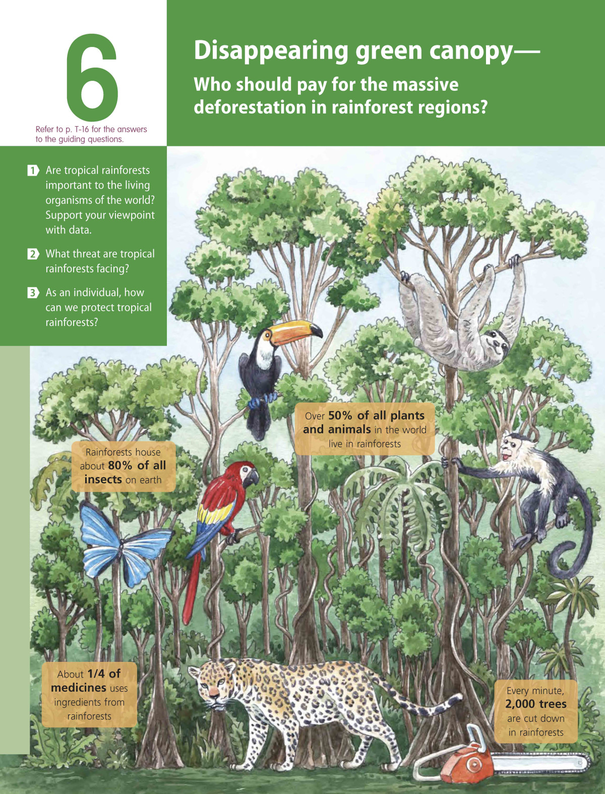Senior Secondary Exploring Geography Part 6 Disappearing Green Canopy 2024 Rma Modular 3rd Edition Ip Kim Wai