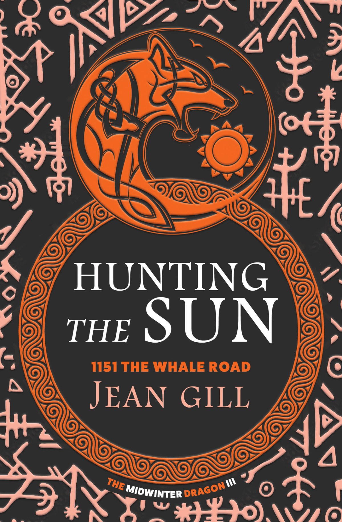 Hunting The Sun 1151 The Whale Road Gill Jean