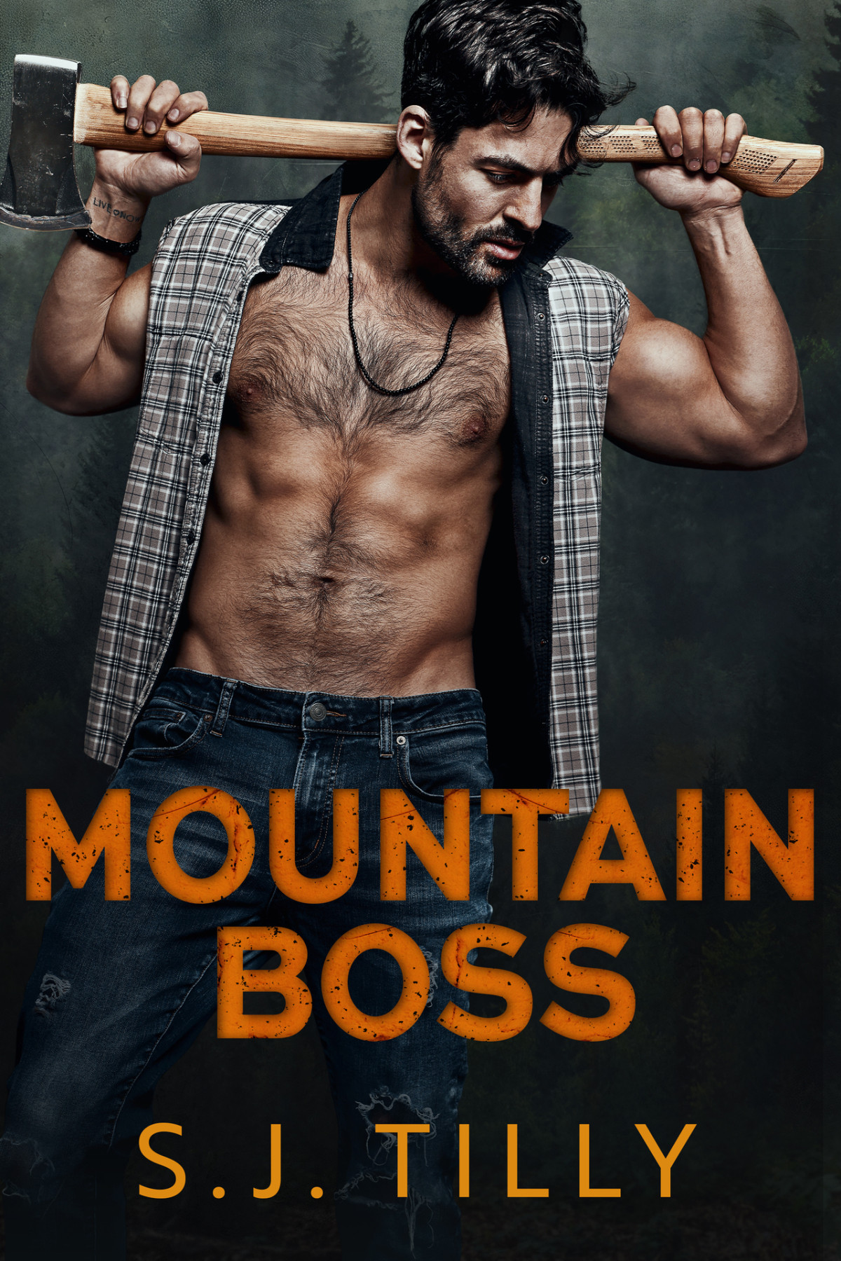 Mountain Boss Mountain Men Series Book One Sj Tilly