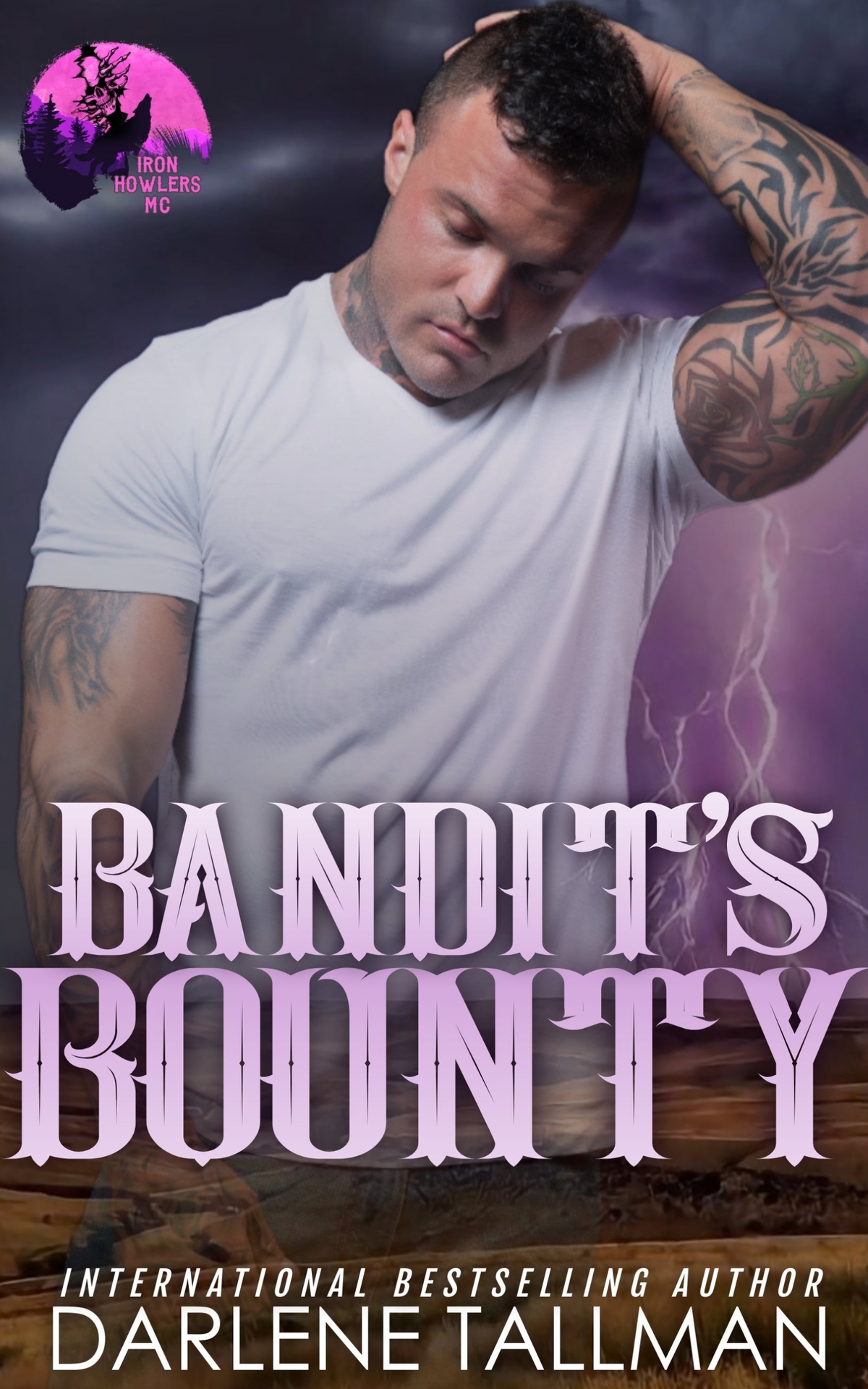 Bandits Bounty An Iron Howlers Mc Novel Darlene Tallman