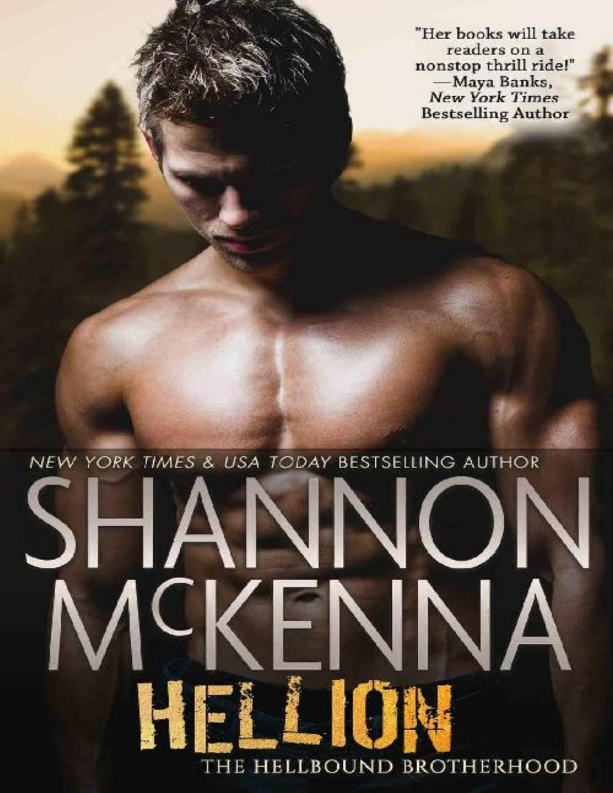 Hellion The Hellbound Brotherhood Book 1 Shannon Mckenna