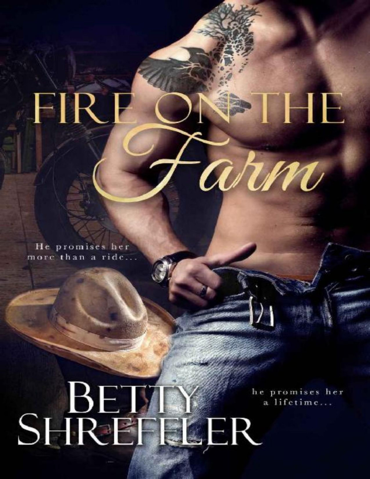 Fire On The Farm Second Chance Cowboy Romance 1st Ebook Ed Betty Shreffler