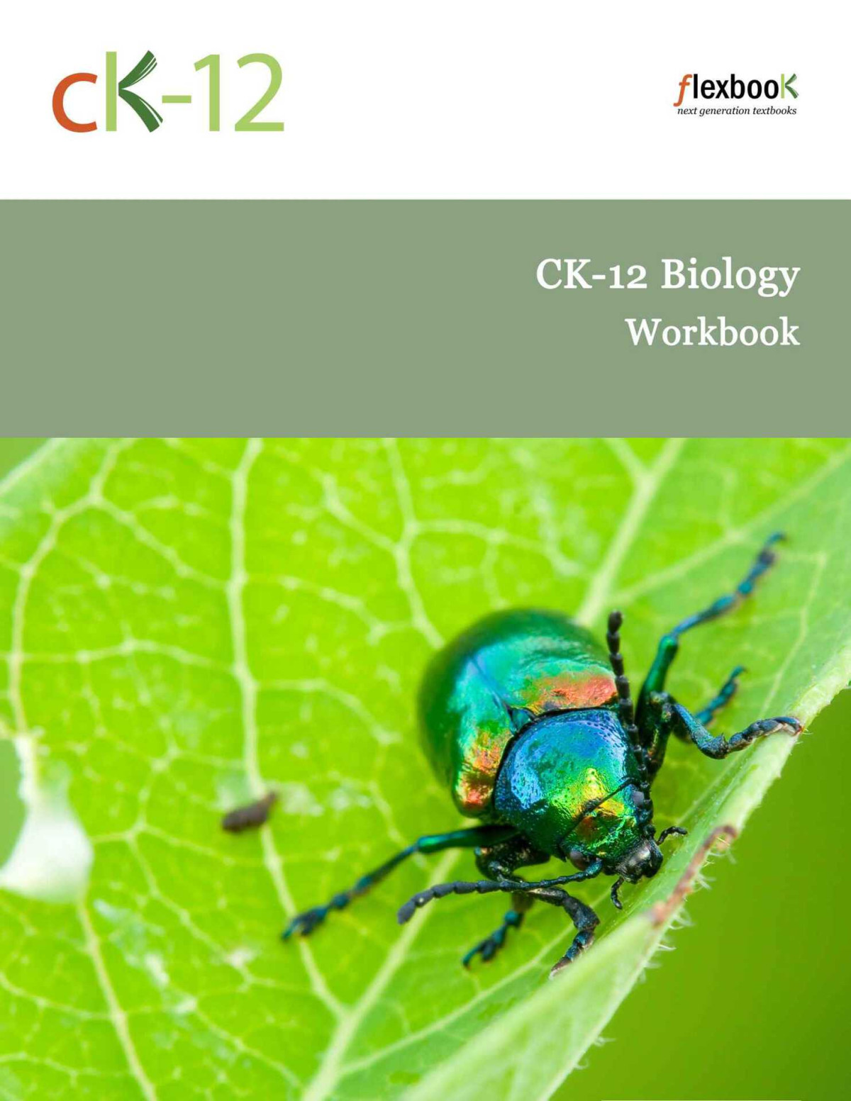 Ck12 Biology Workbook Ck12 Foundation